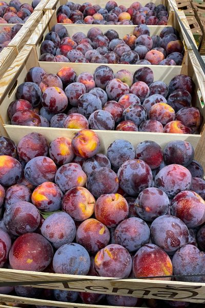 WhatsApp Image 2021-09-09 at 16.33.27