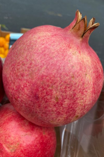 WhatsApp Image 2021-09-09 at 16.38.18