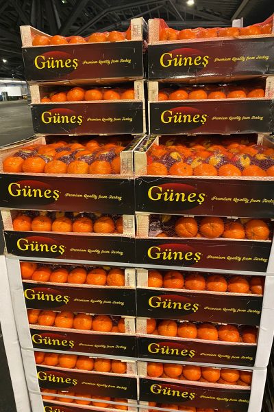 WhatsApp Image 2021-09-09 at 16.40.54(2)