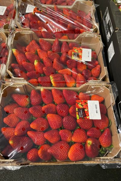 WhatsApp Image 2021-09-09 at 16.40.54(4)