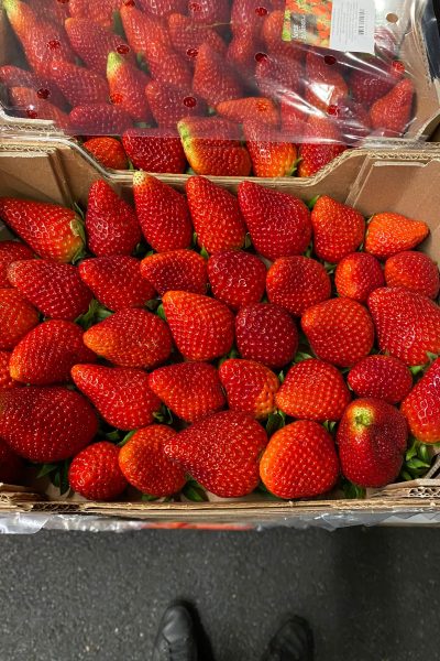 WhatsApp Image 2021-09-09 at 16.40.54(5)