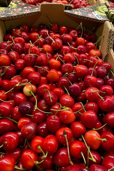 WhatsApp Image 2021-09-09 at 16.40.54(6)