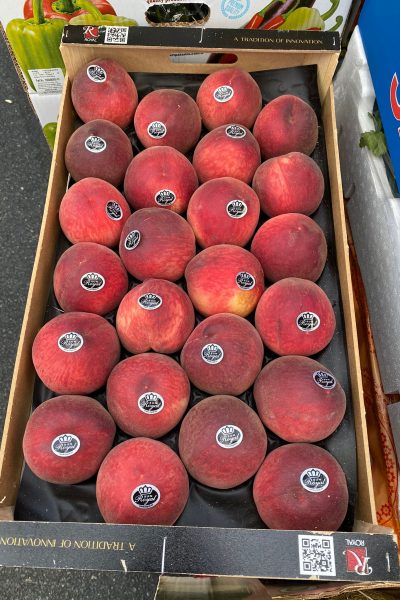 WhatsApp Image 2021-09-09 at 16.40.54(7)