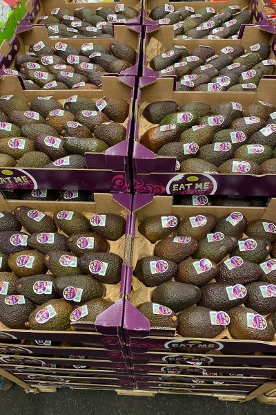 WhatsApp Image 2021-09-09 at 16.40.55(2)