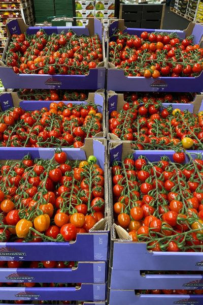 WhatsApp Image 2021-09-09 at 16.40.55(3)